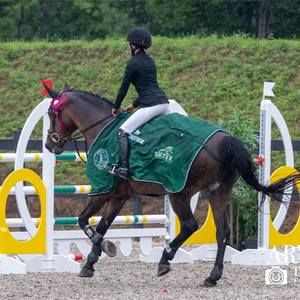 Meet your Posher, Lou-anne